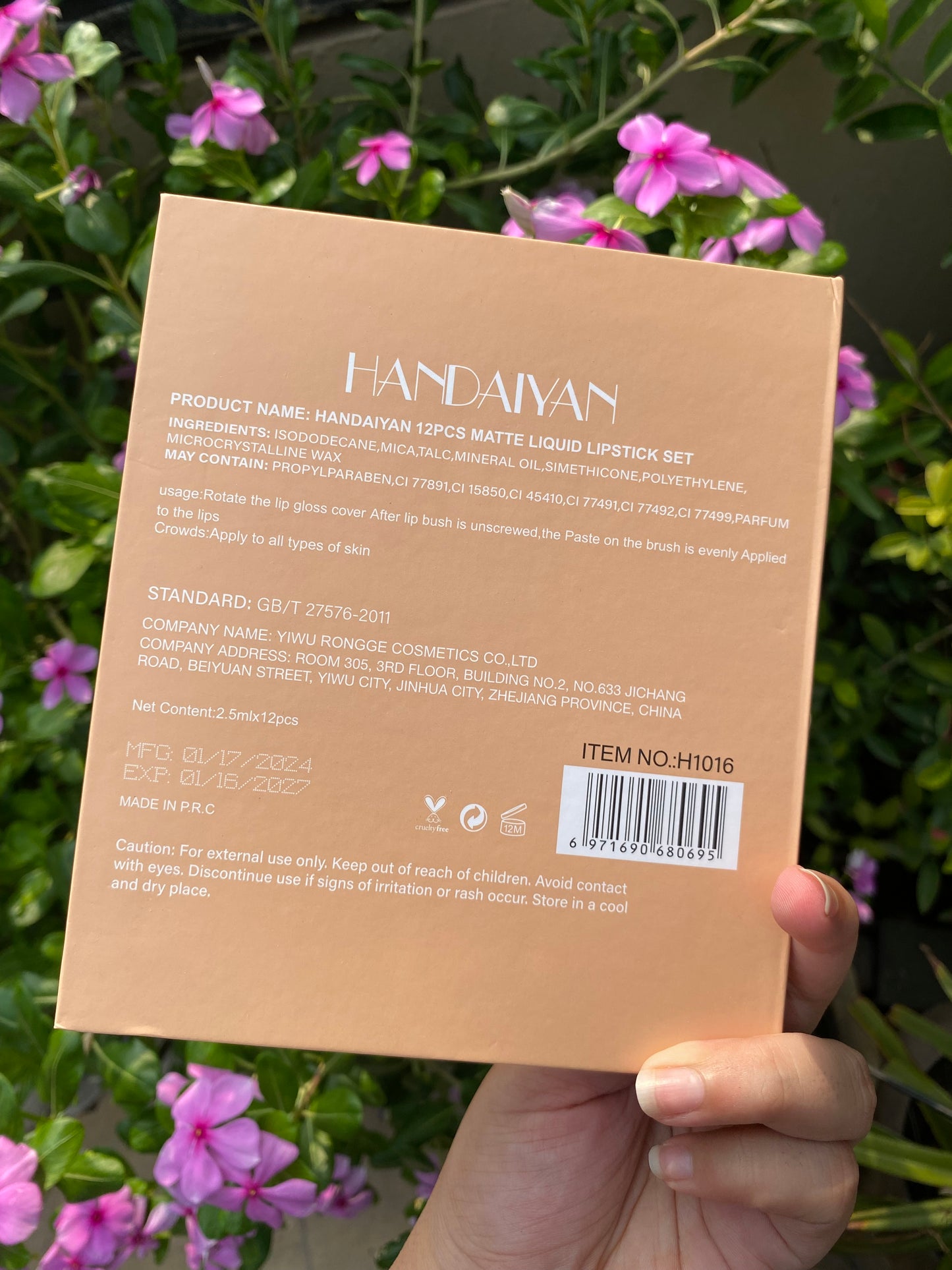 Handaiyan 12pc Lipstick Set