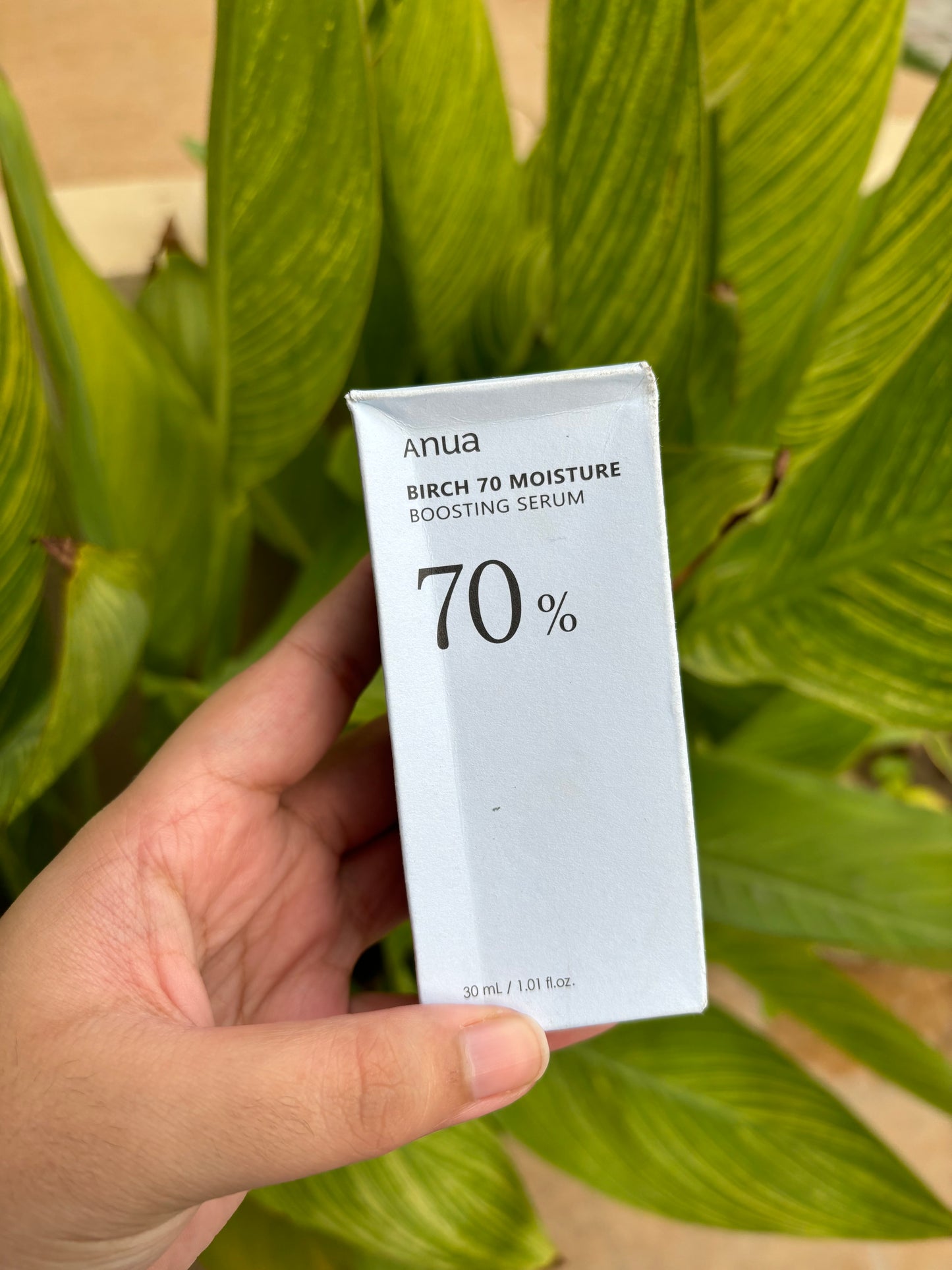 Anua Birch 70 Moisture Boosting Serum
