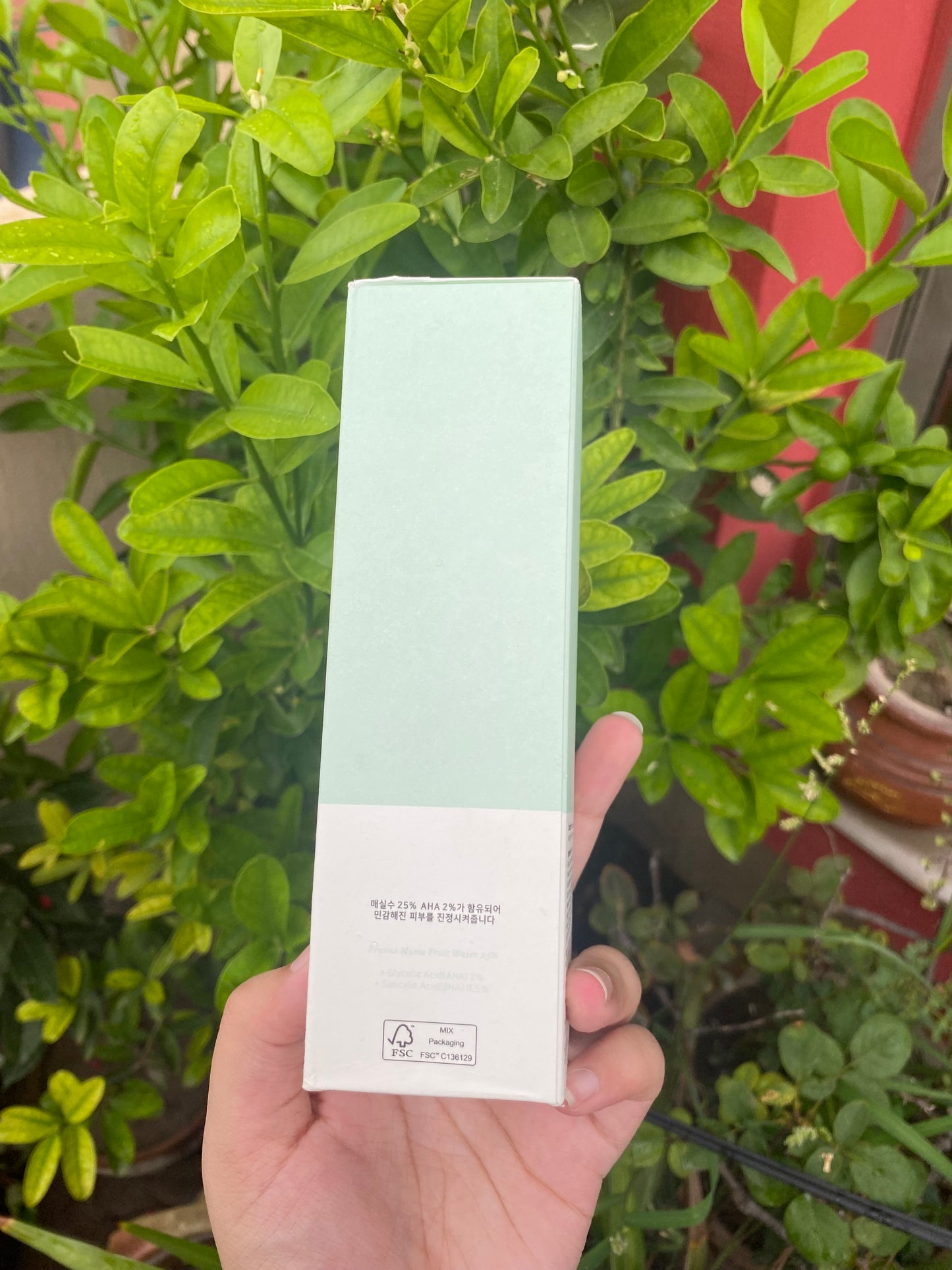Beauty of Joseon Green Tea Refreshing Toner