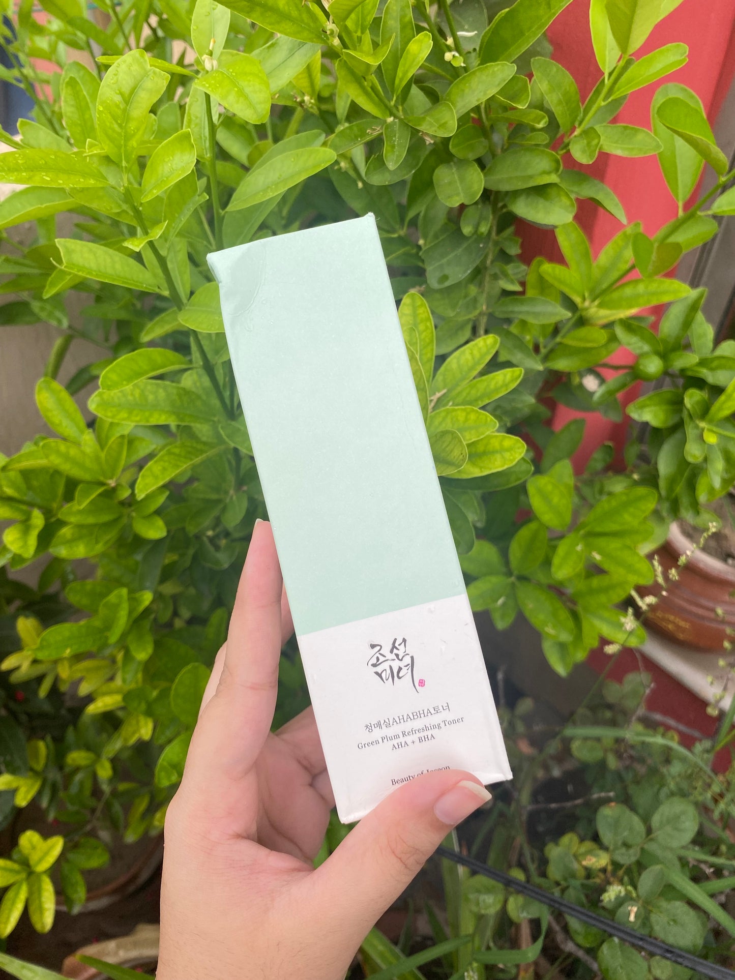 Beauty of Joseon Green Tea Refreshing Toner