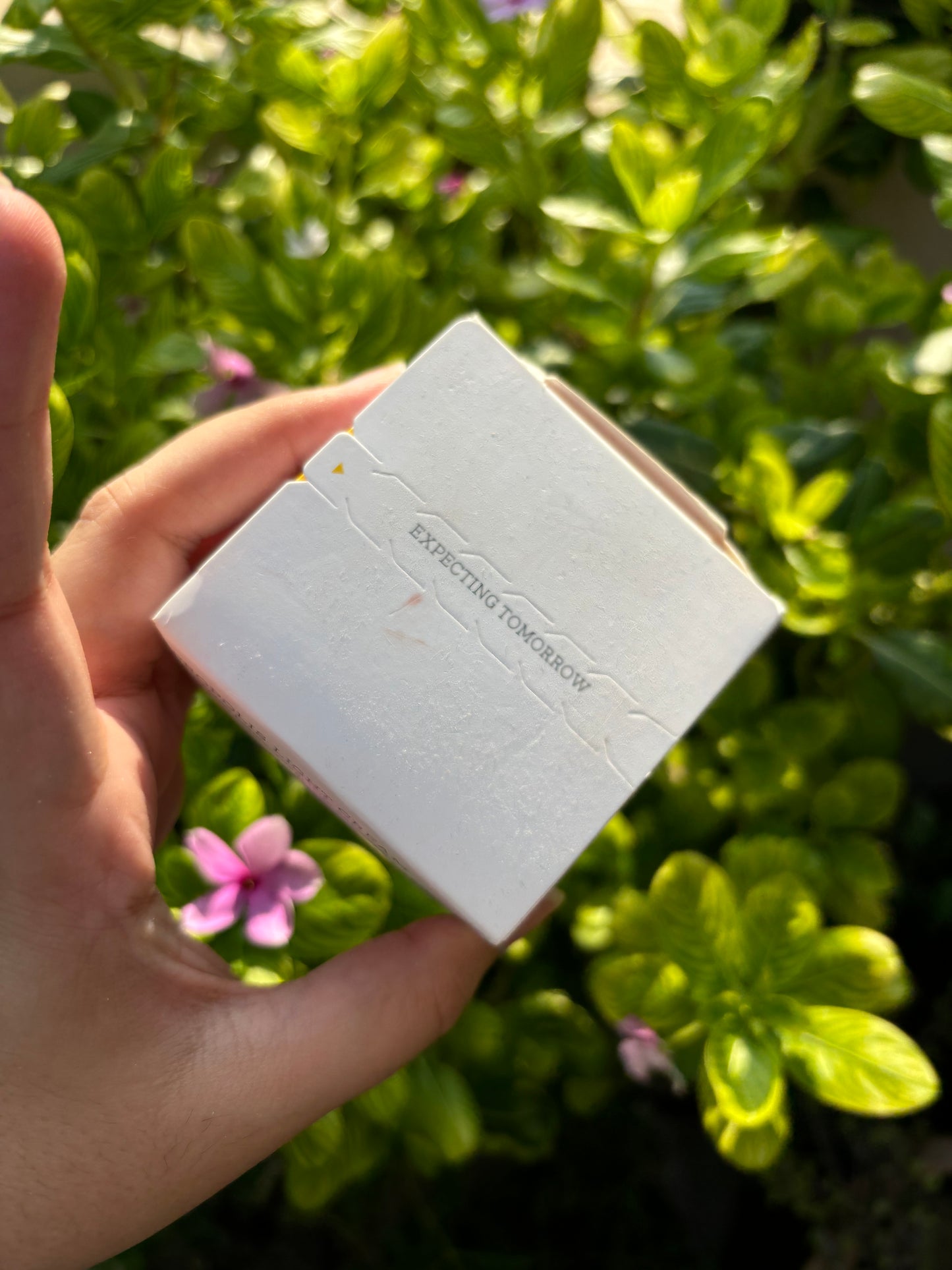 Cosrx Propolis Light Cream