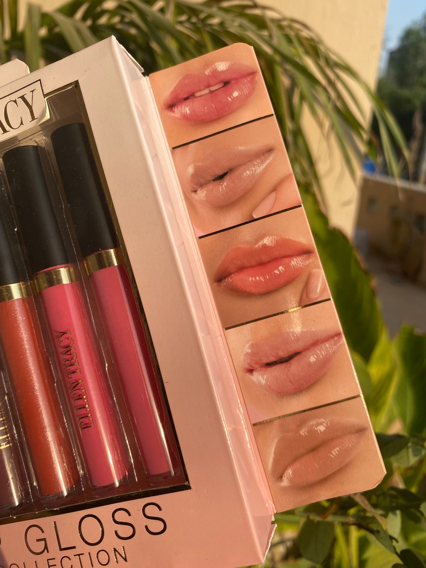 Ellen Tracy Set of 5 Pretty Lipgloss