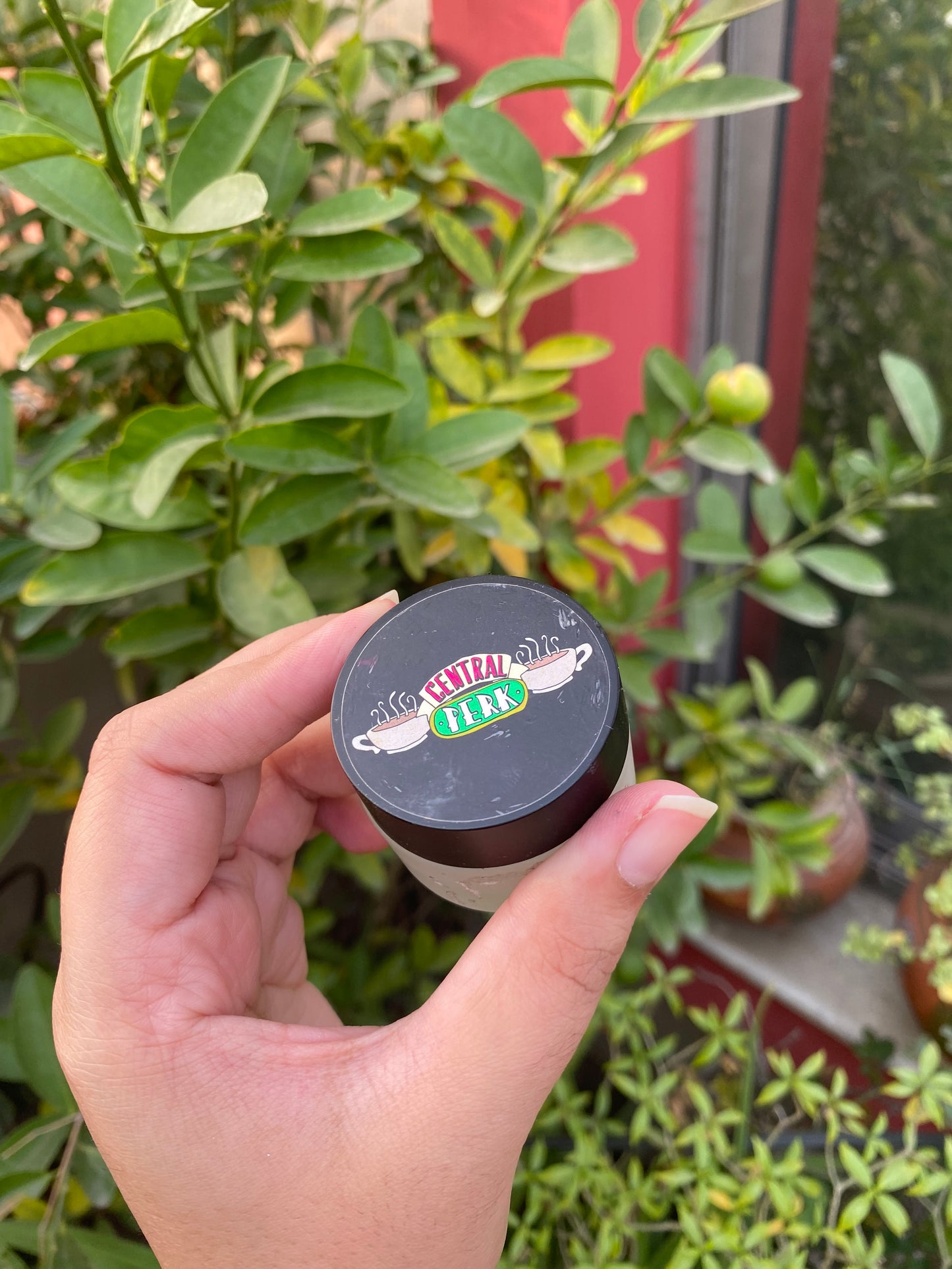 Revolution X Friends Central Perk Lip Scrub