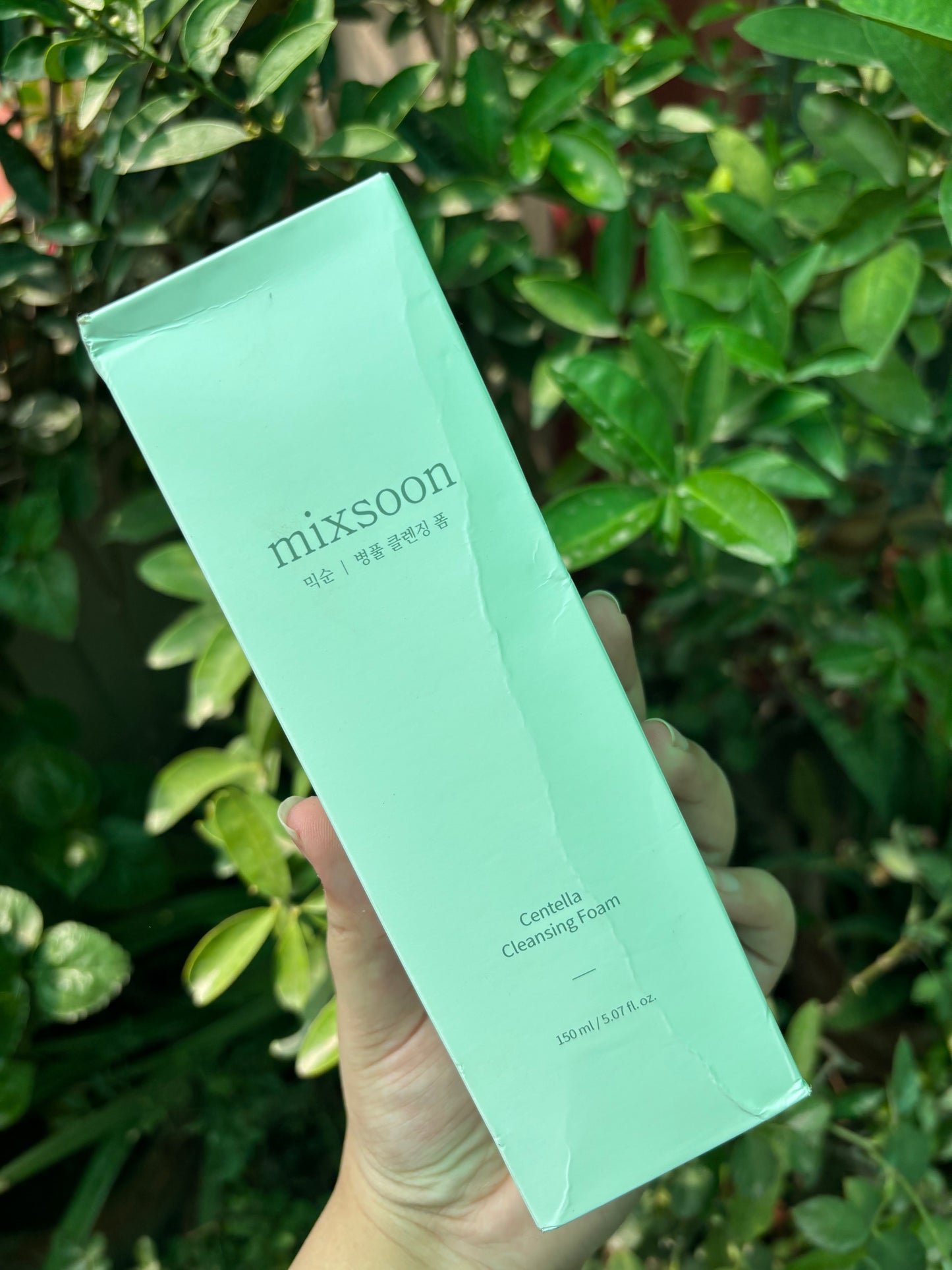 Mixsoon Centella Cleansing Foam
