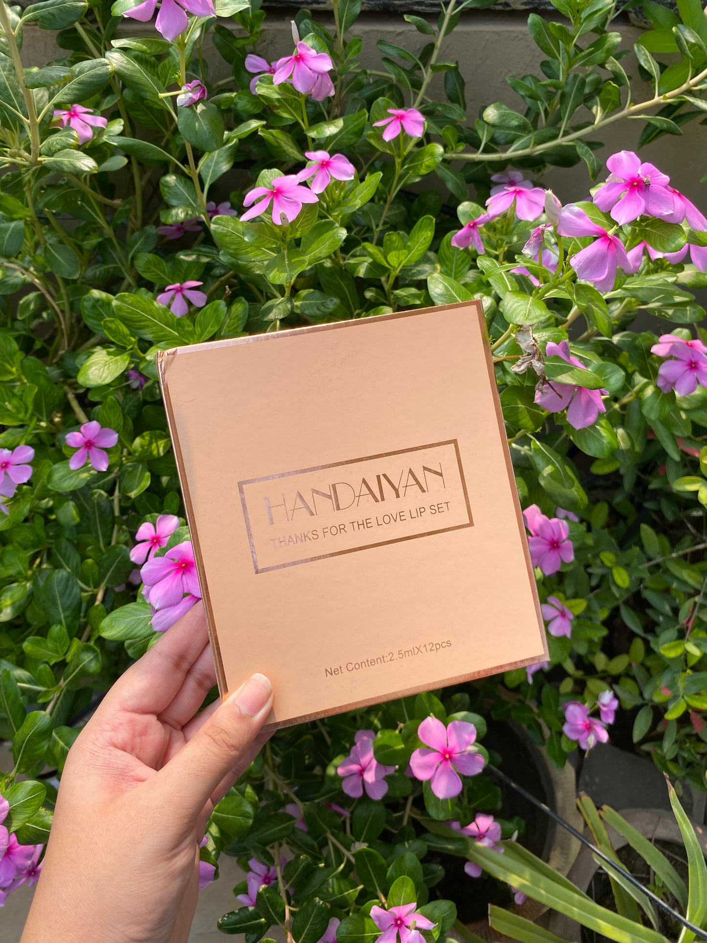 Handaiyan 12pc Lipstick Set