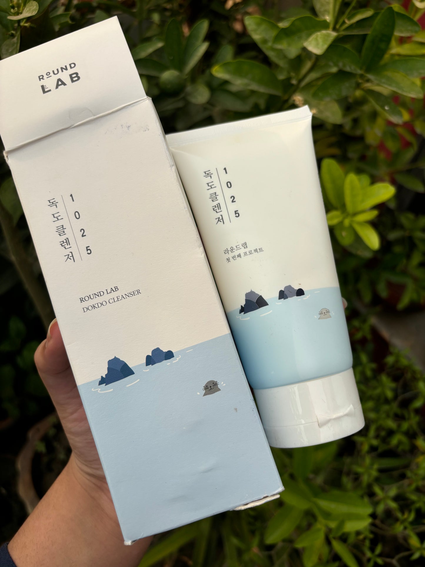 Round Lab 1025 Dokdo Cleanser