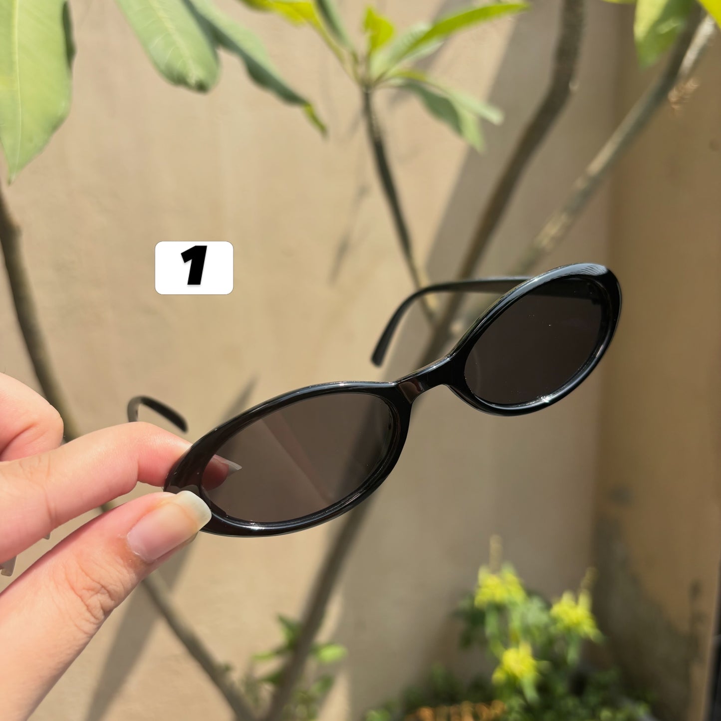Sunglasses