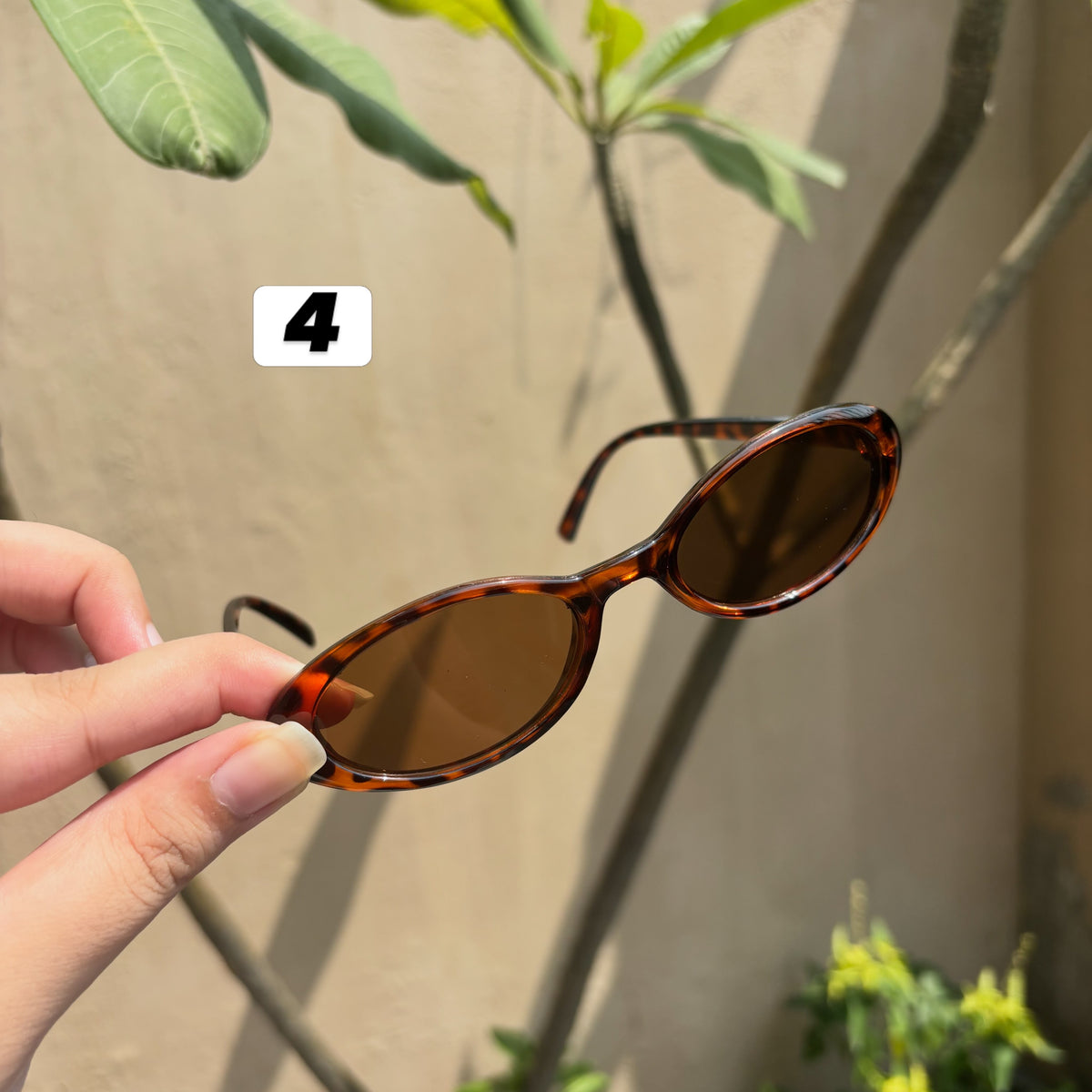 Sunglasses