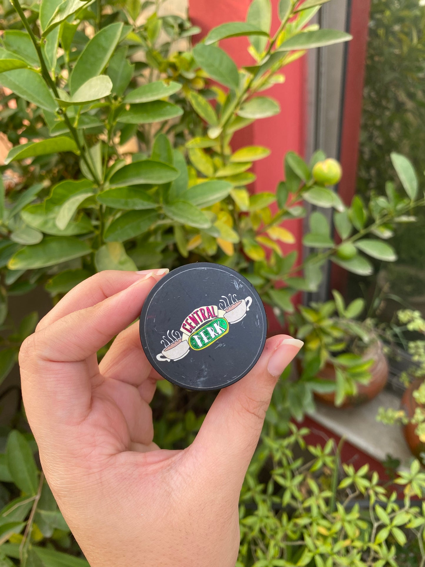 Revolution X Friends Central Perk Lip Scrub