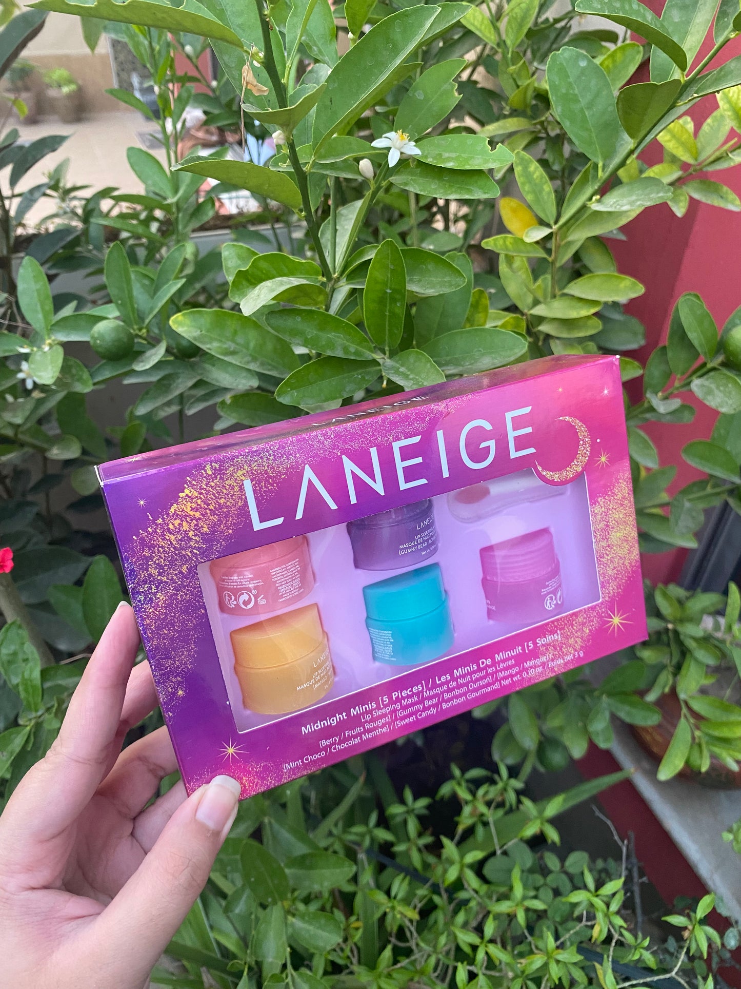 Laneige Midnight Minis