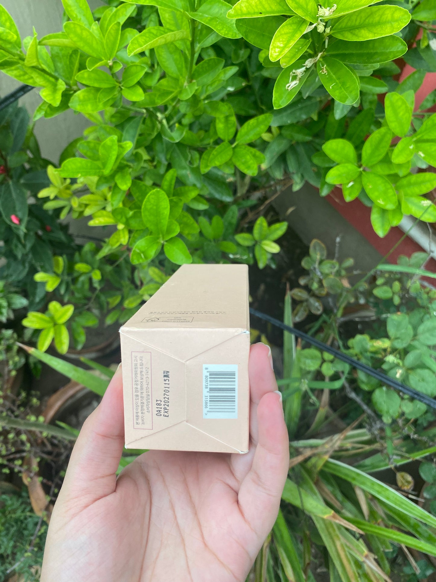 Beauty of Joseon Ginseng Cleansing Oil