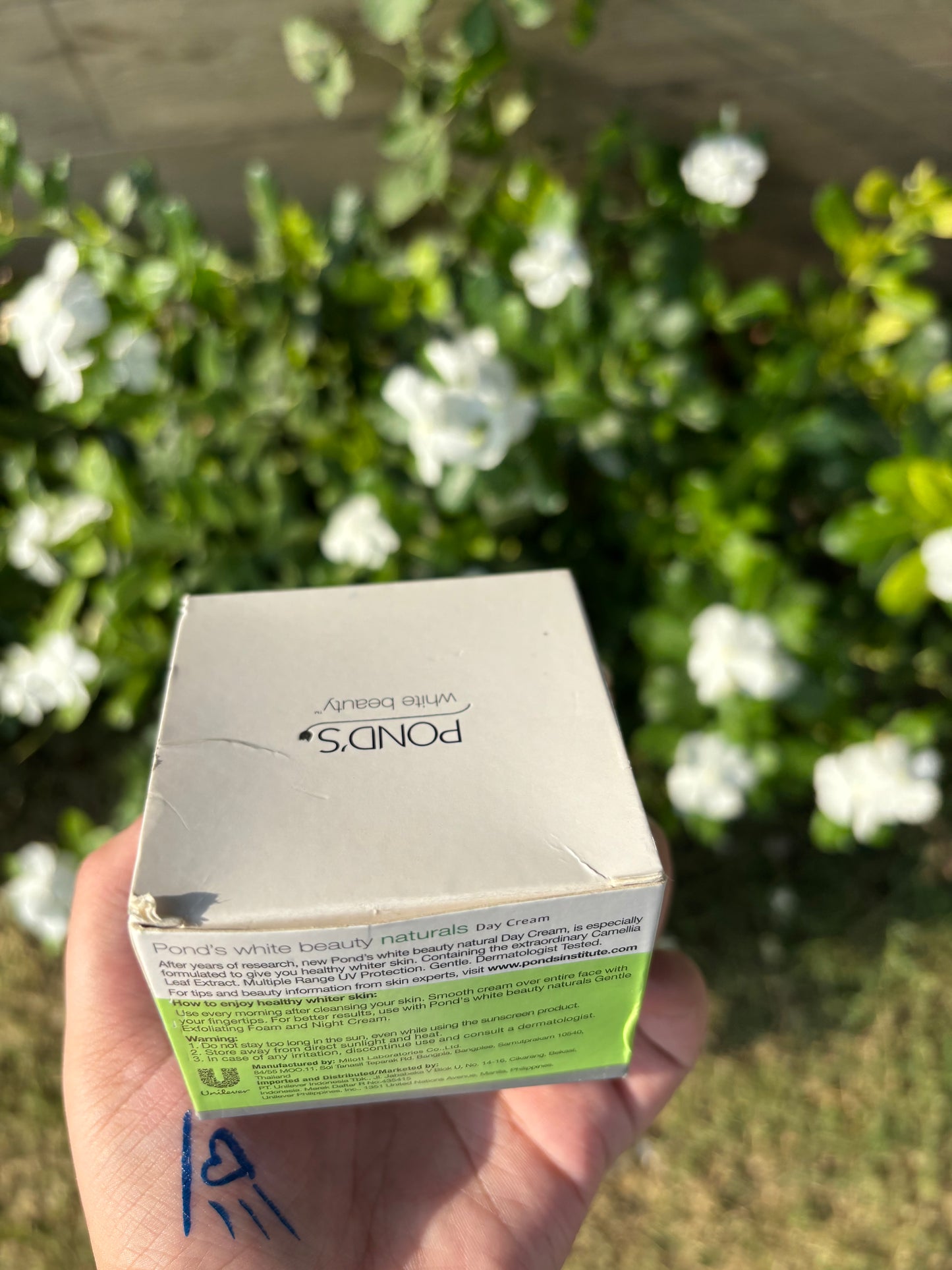 Ponds White Beauty Naturals Day Cream Camellia Leaf Extract
