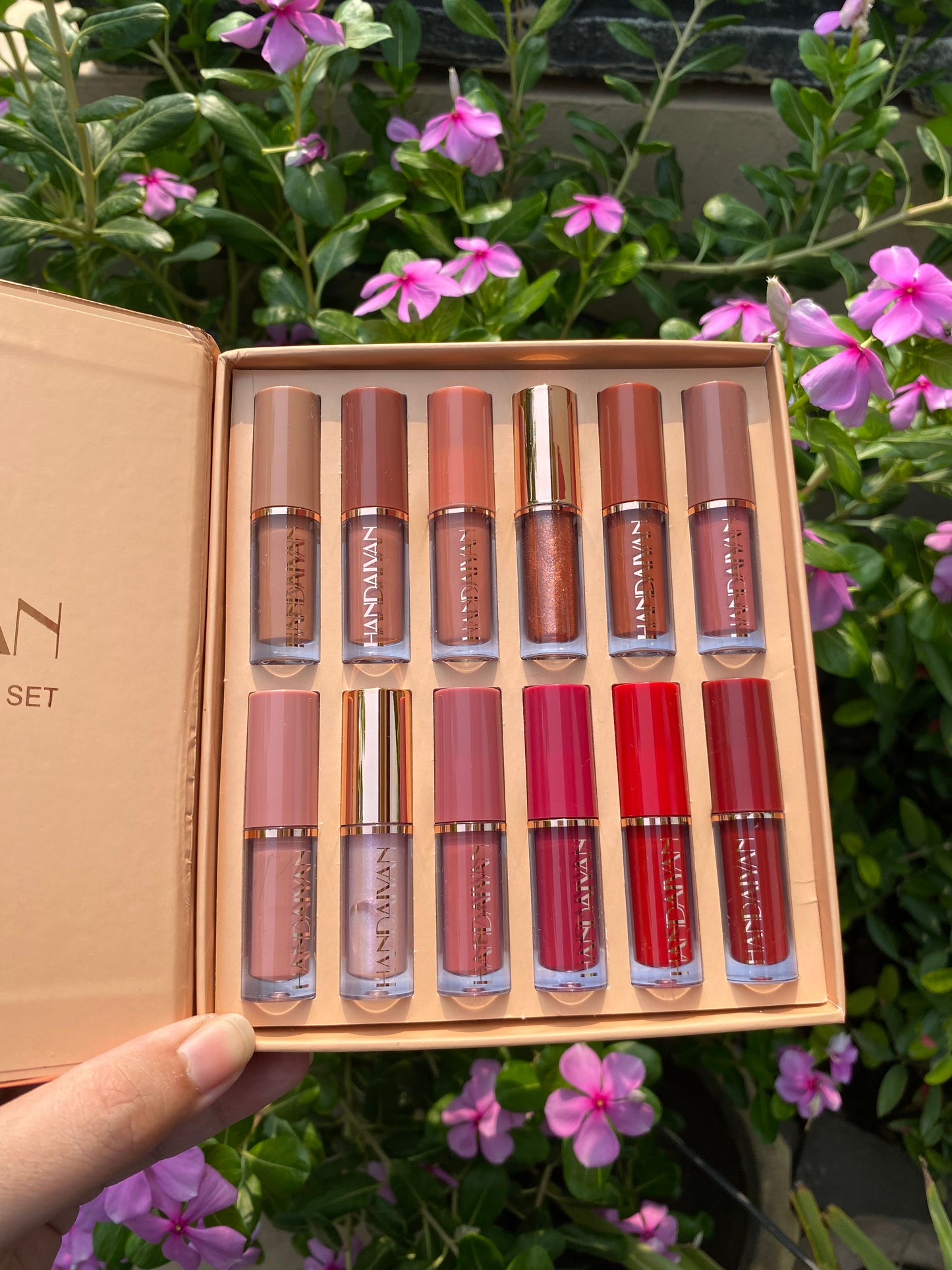 Handaiyan 12pc Lipstick Set