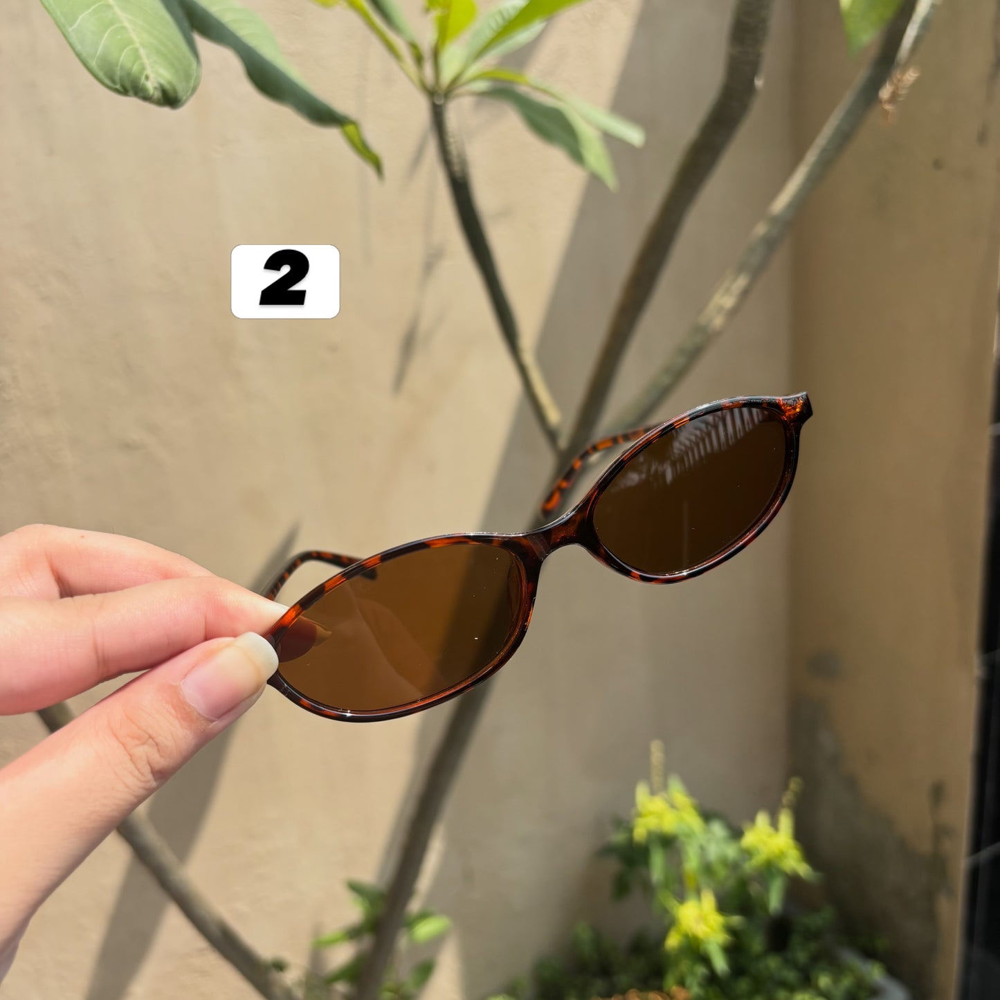 Sunglasses