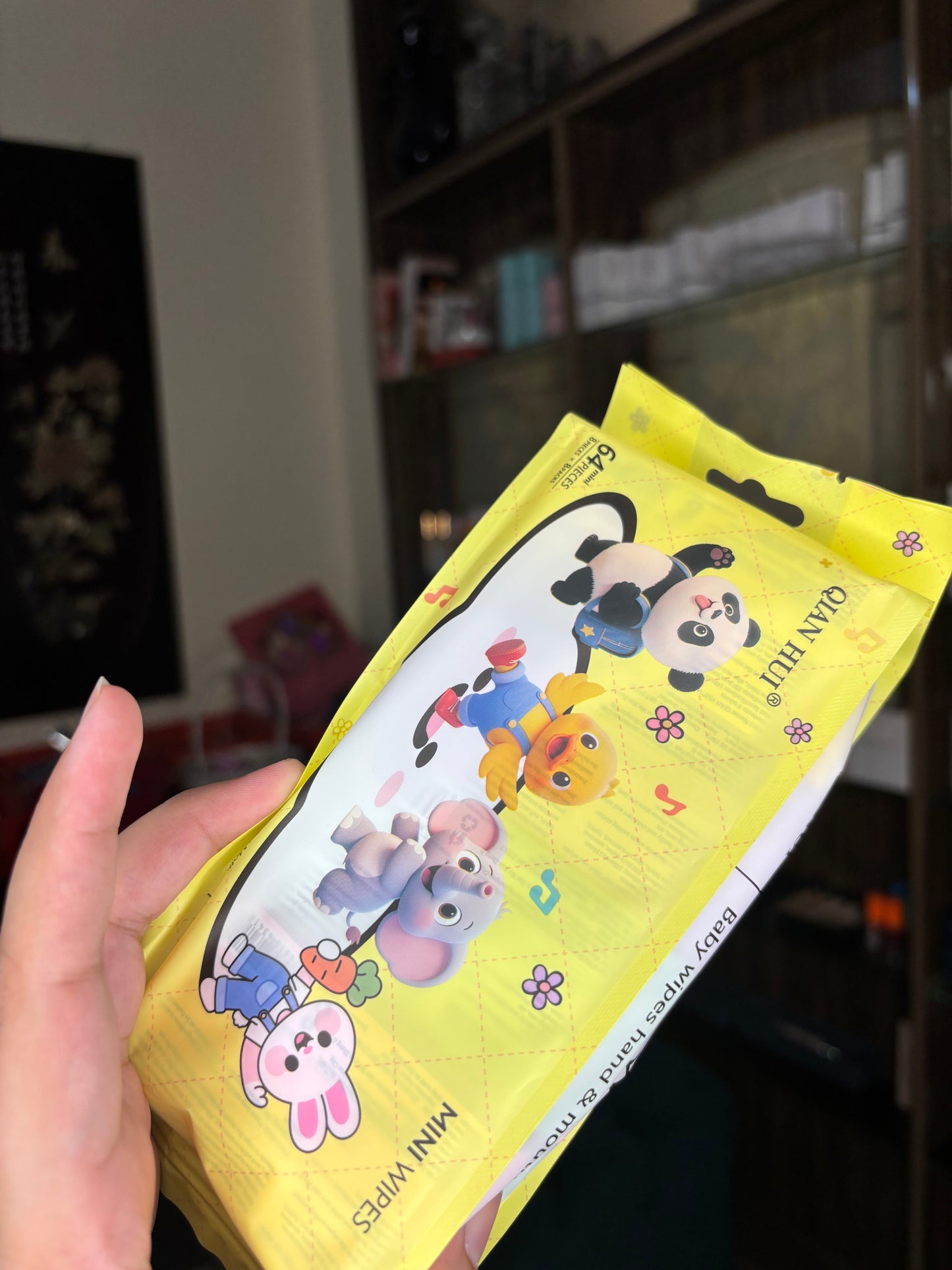 Wet Wipes / Baby Wipes