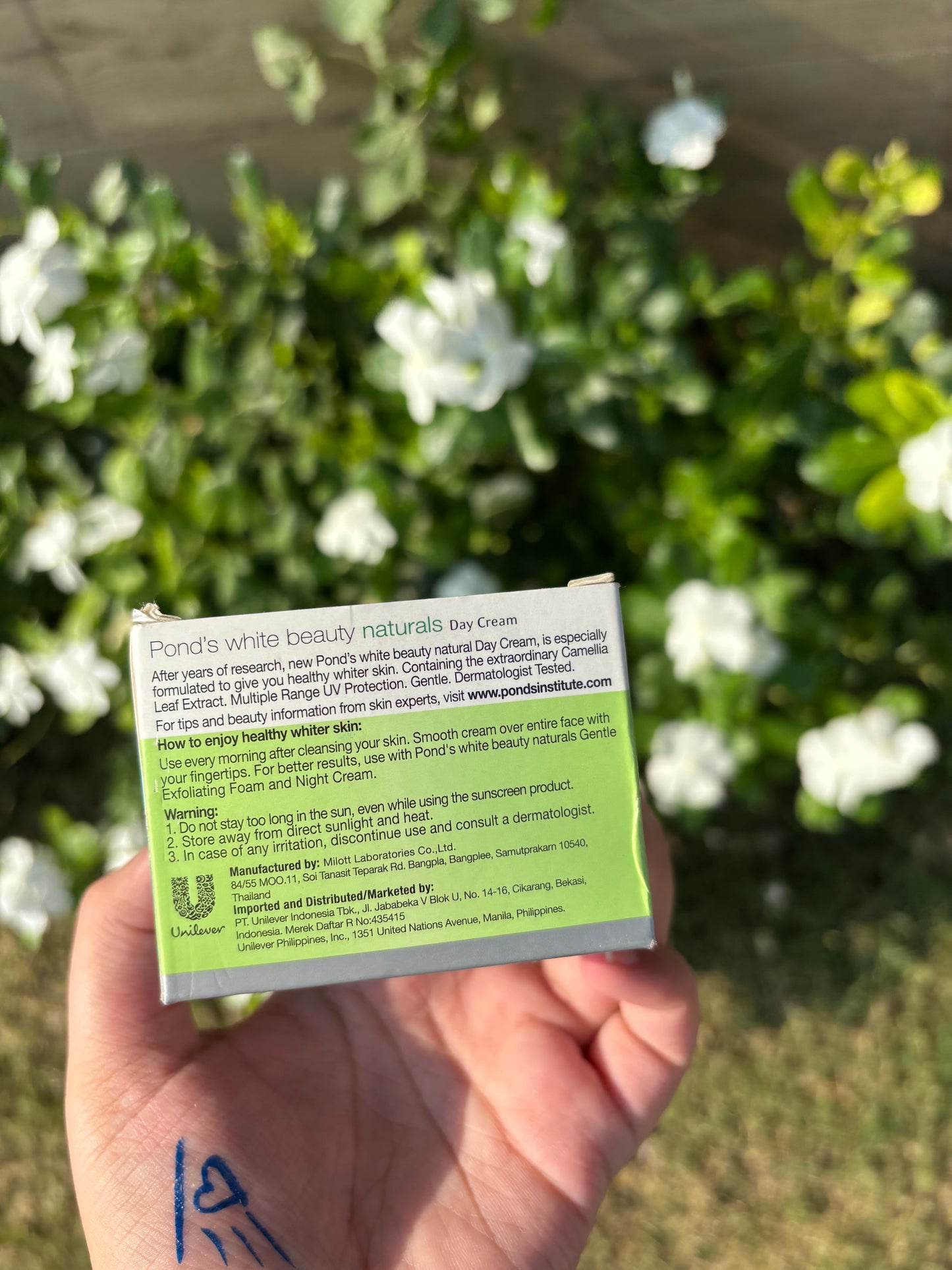 Ponds White Beauty Naturals Day Cream Camellia Leaf Extract