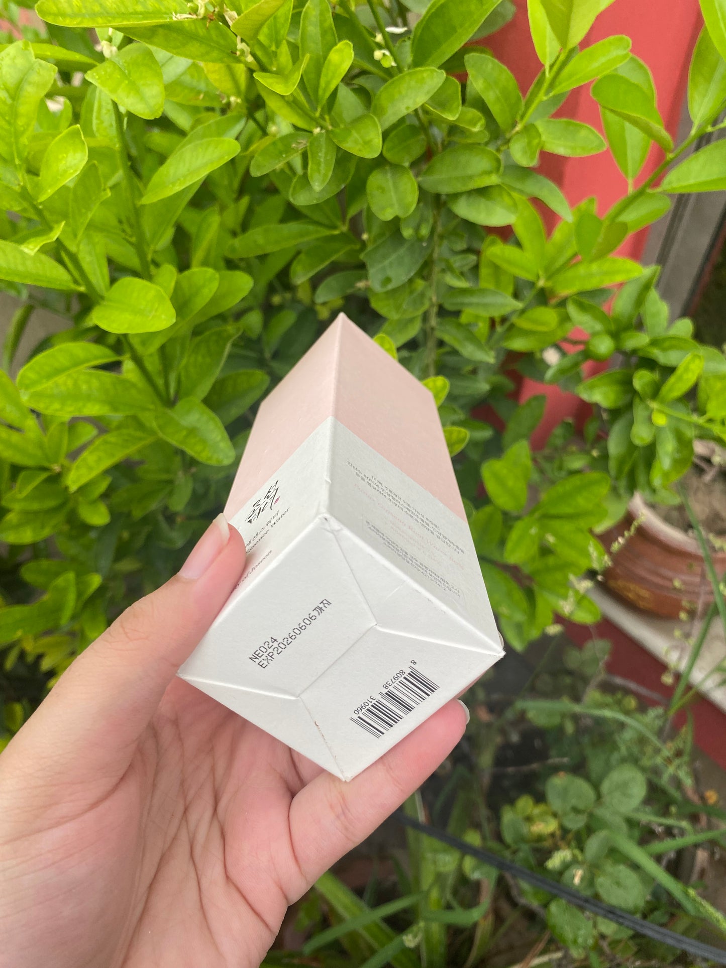 Beauty of Joseon Ginseng Essence Water Toner