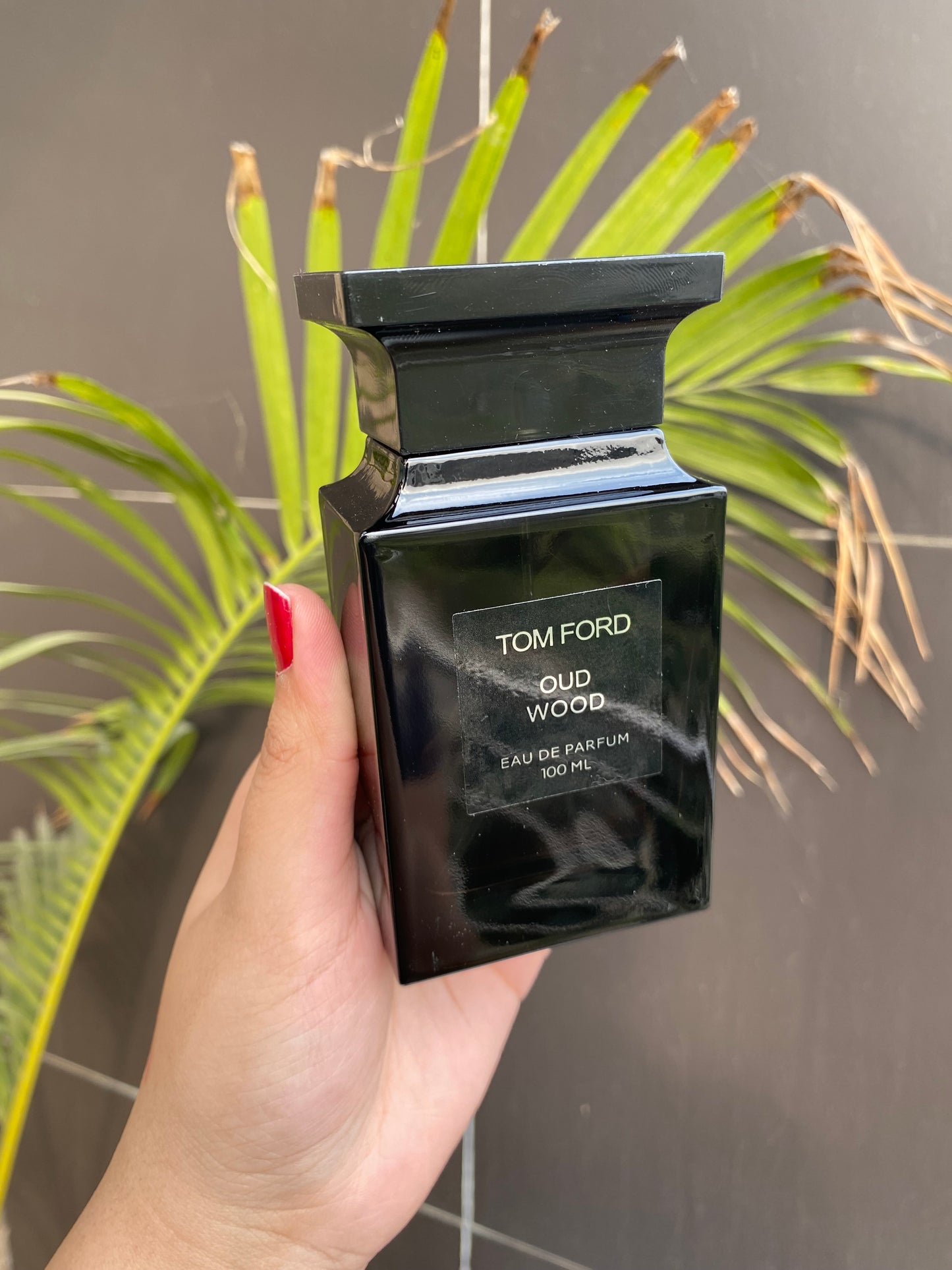 Tom Ford Oud Wood Perfume 100ml