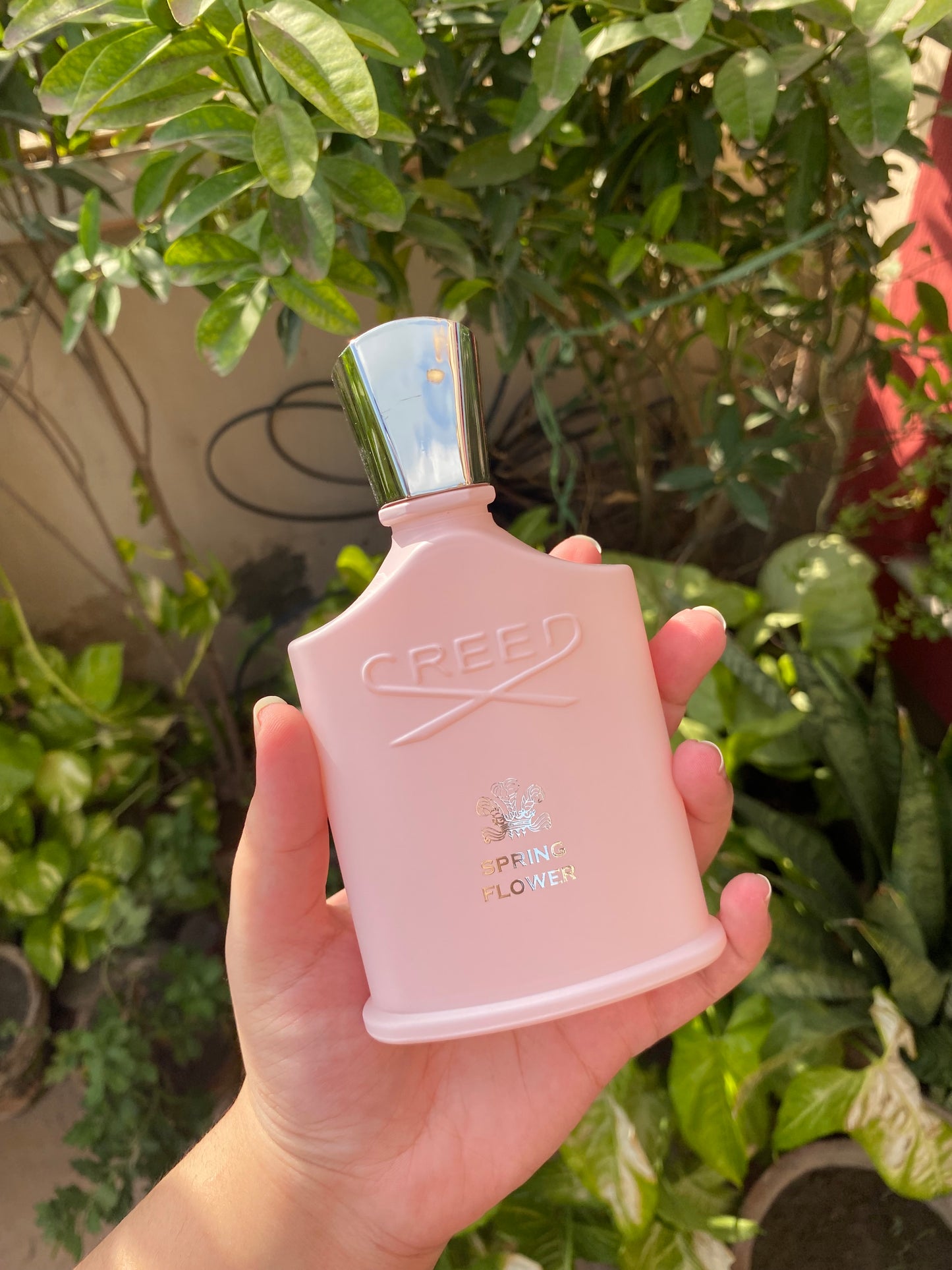 Creed Spring Flower Perfume 100ml