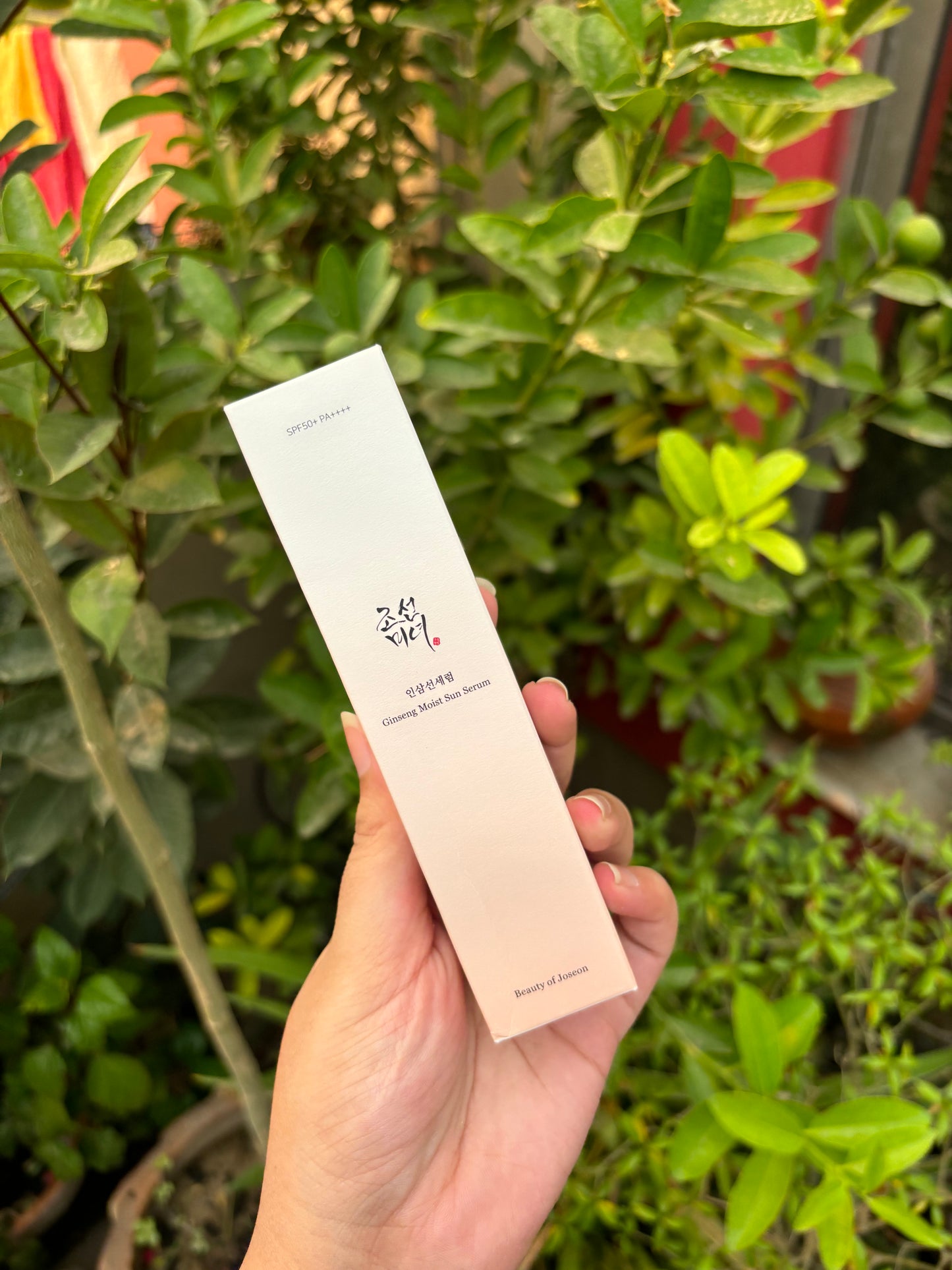 Beauty of Joseon Ginseng Moist Sun Serum