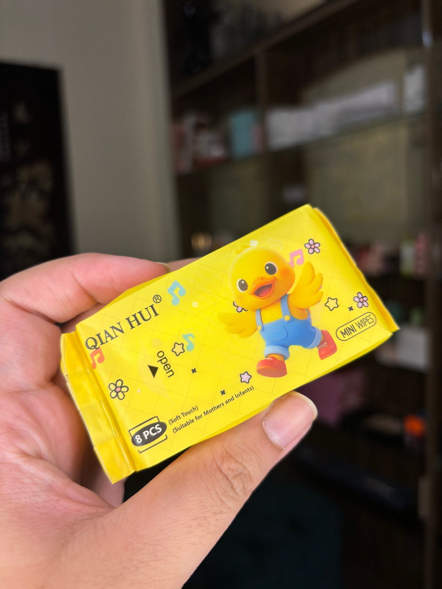Wet Wipes / Baby Wipes