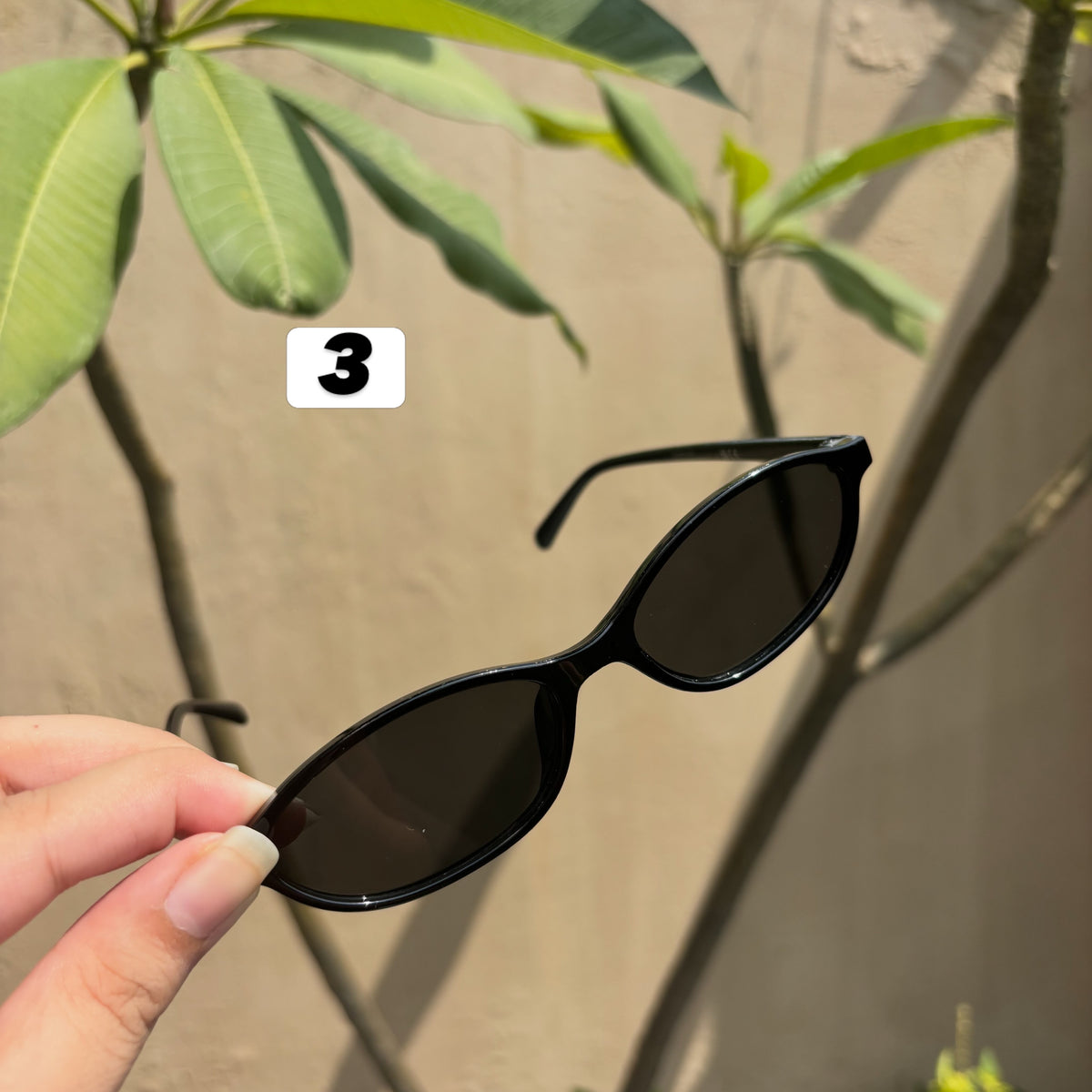 Sunglasses