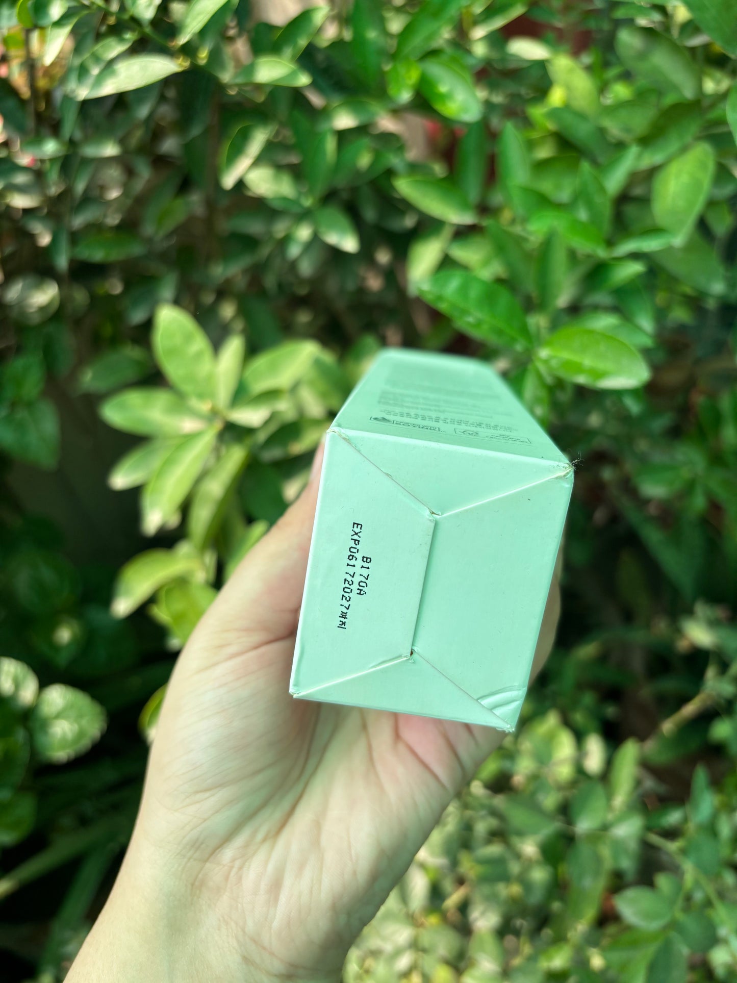 Mixsoon Centella Cleansing Foam