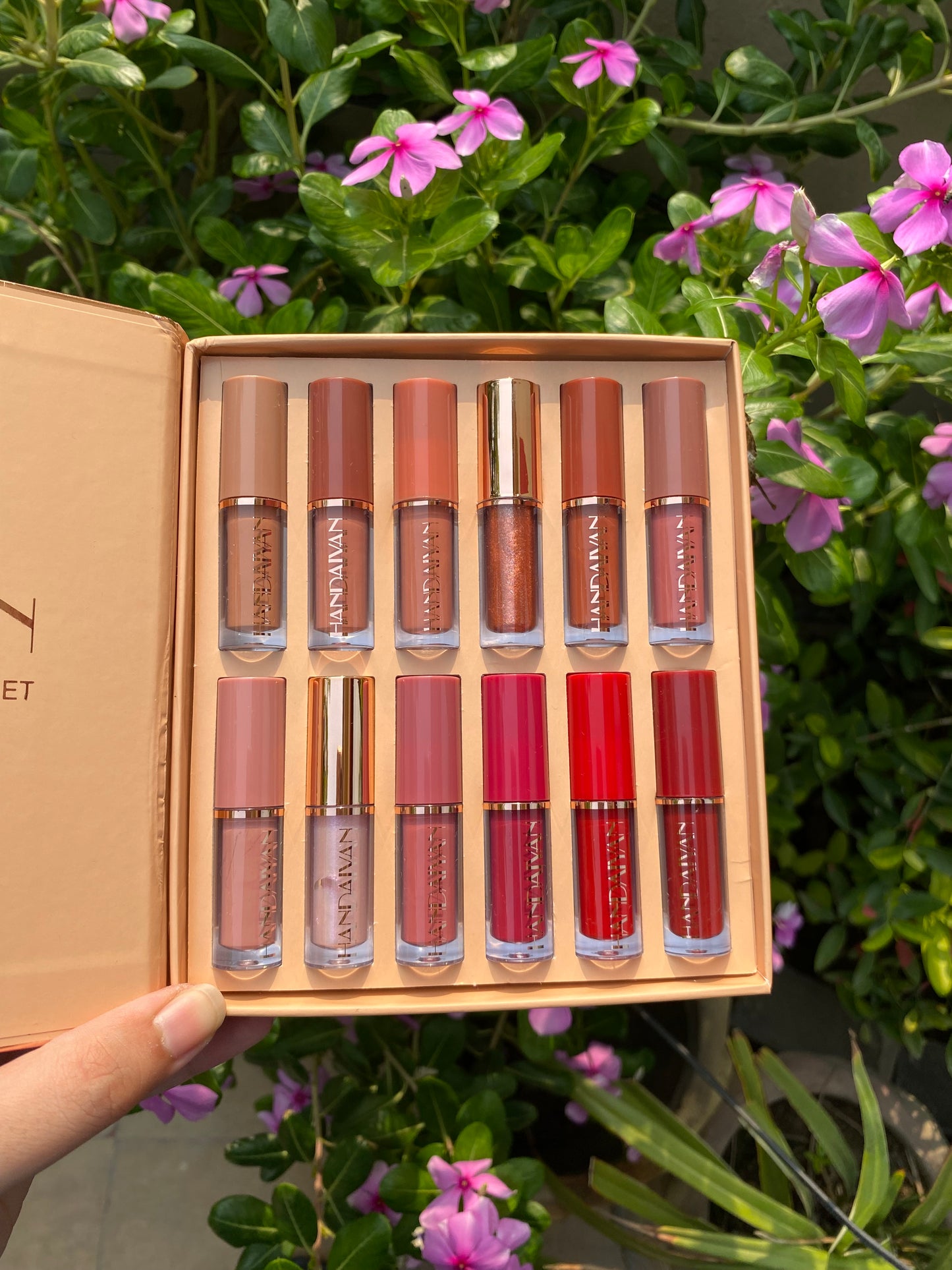 Handaiyan 12pc Lipstick Set