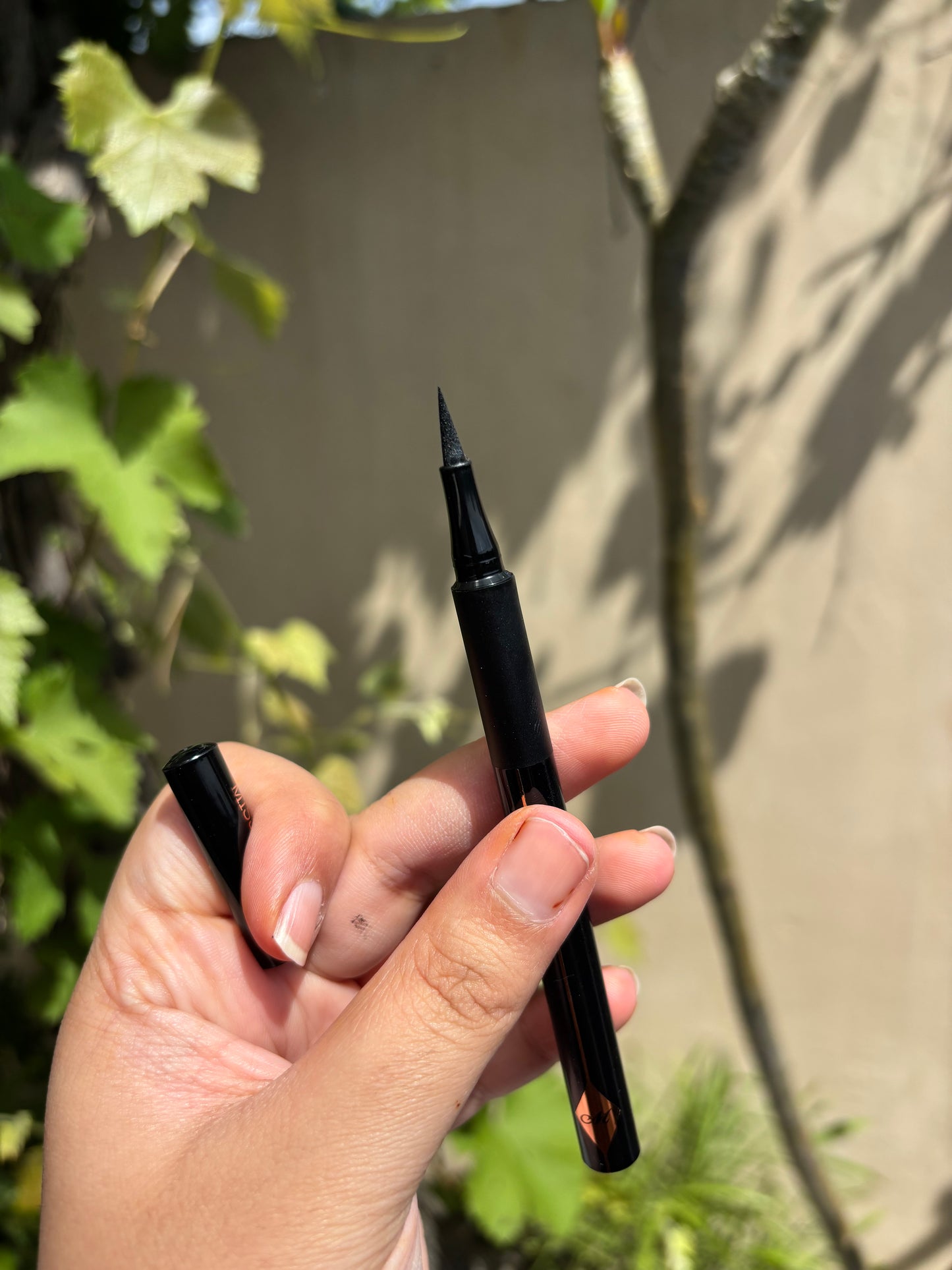 Miss Pretty Eyeliner