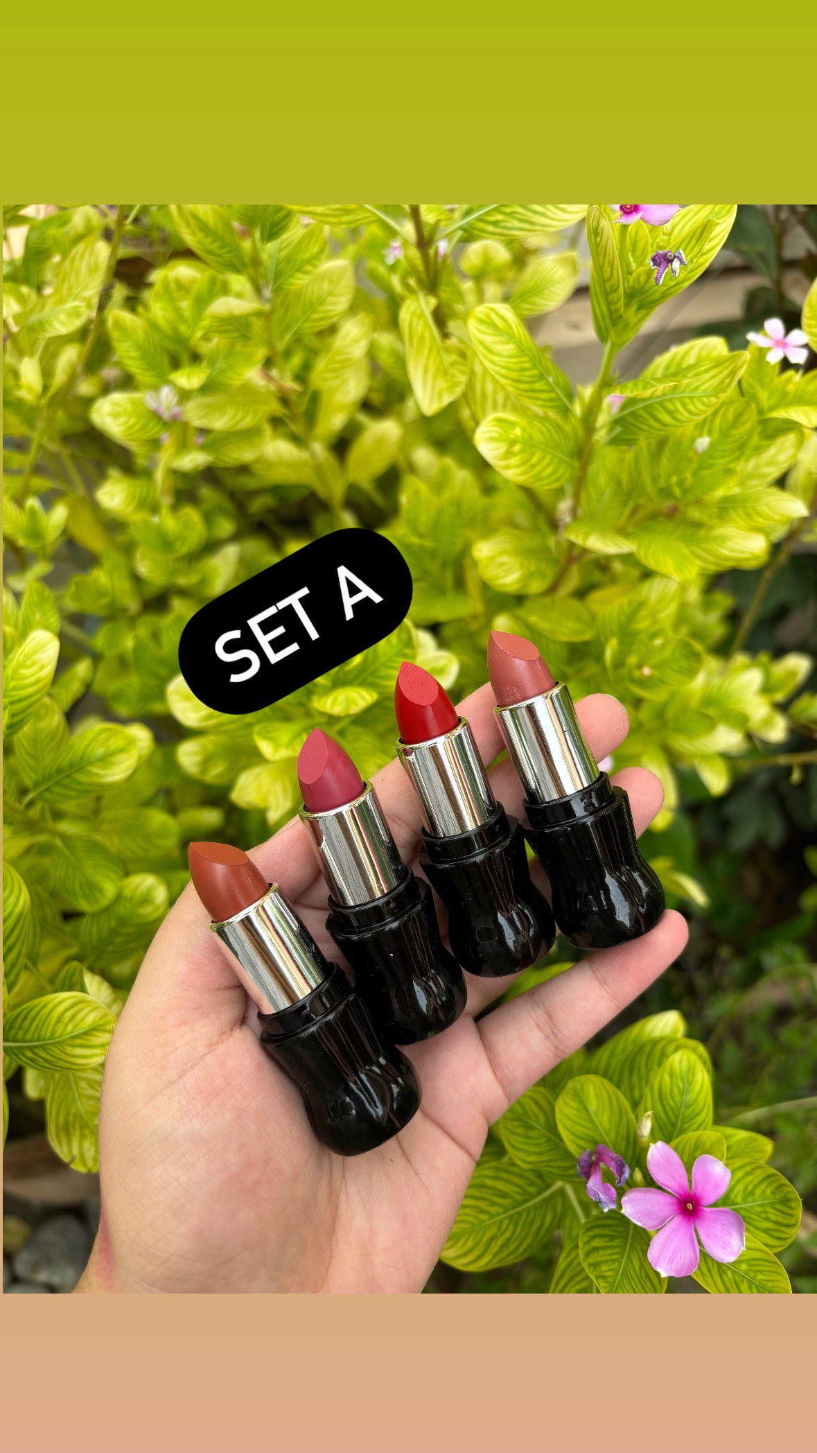 HengFeng Cola Lipstick Set