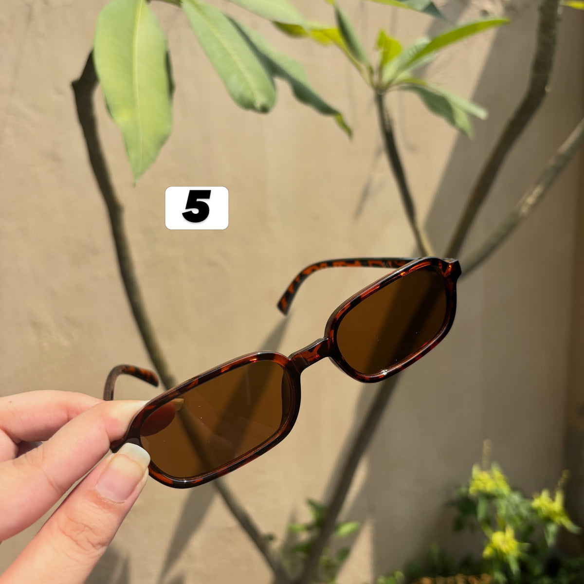 Sunglasses