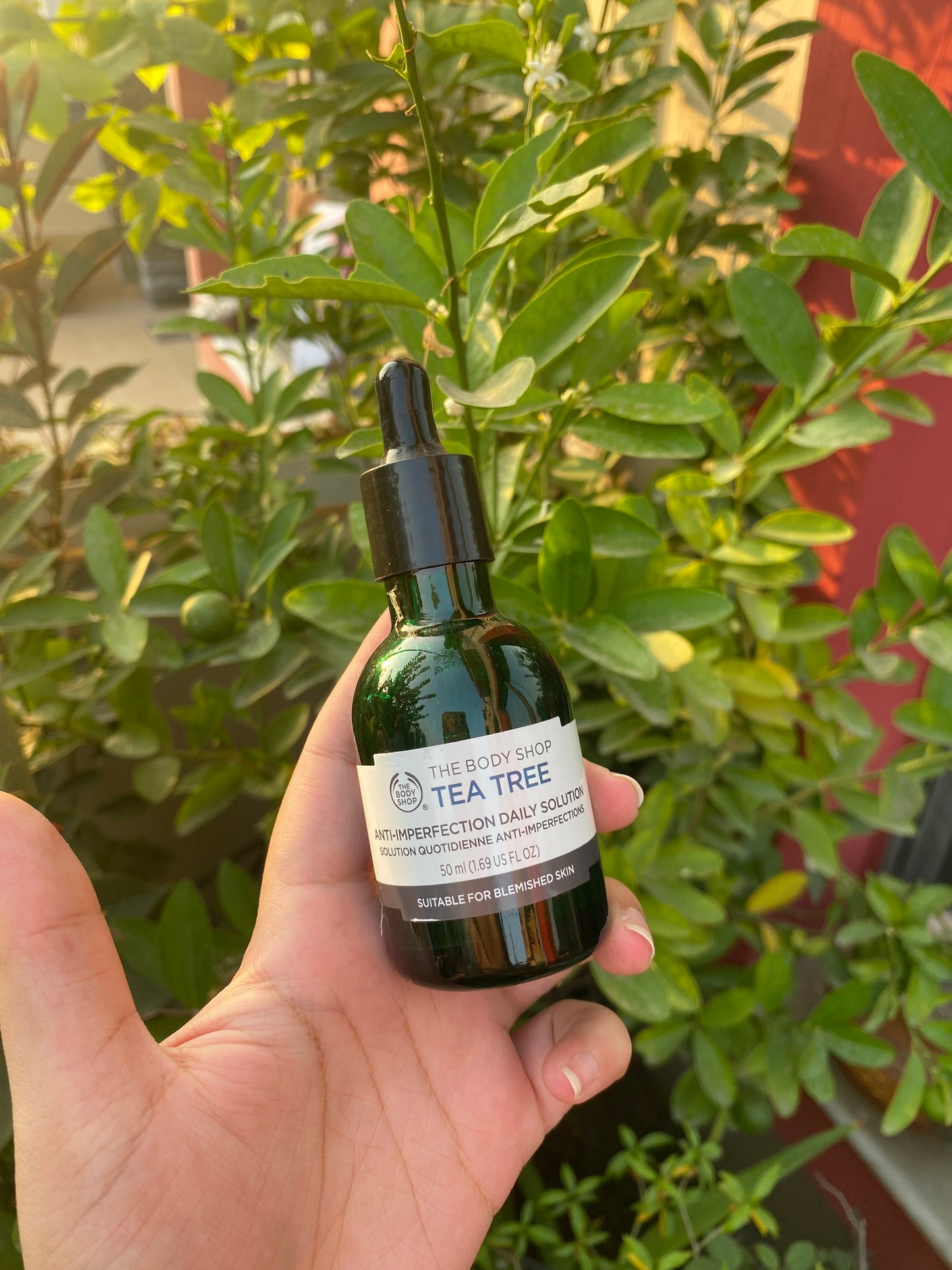 The Body Shop Tea Tree Anti-Imperfection Daily Solution