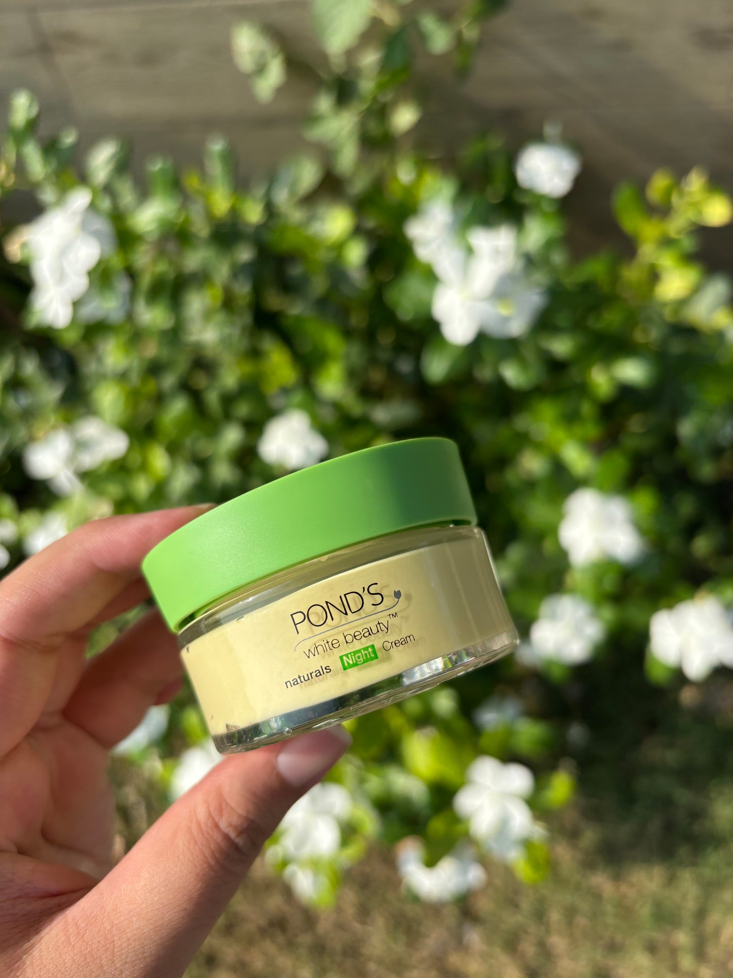 Ponds White Beauty Naturals Day Cream Camellia Leaf Extract