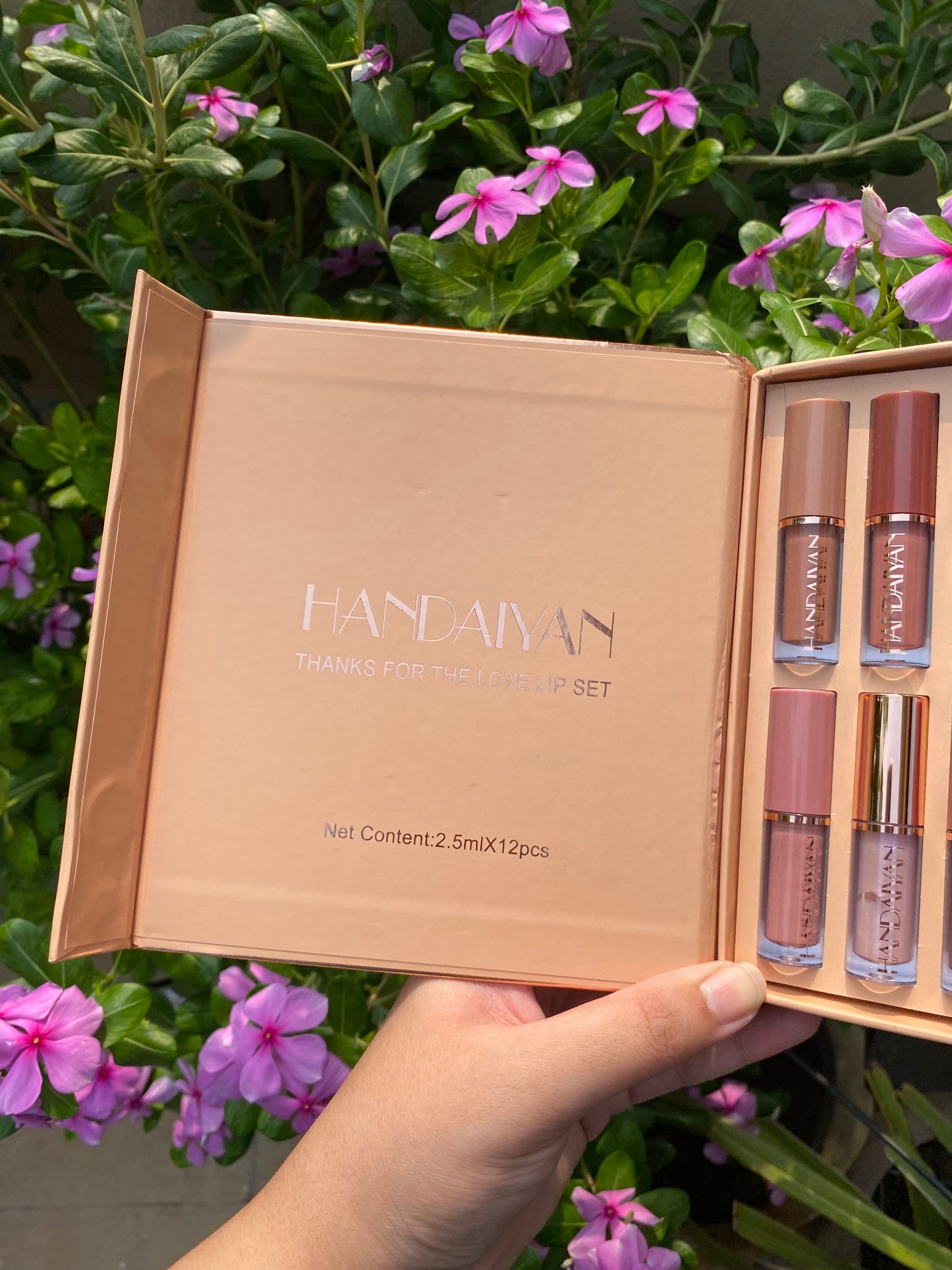 Handaiyan 12pc Lipstick Set