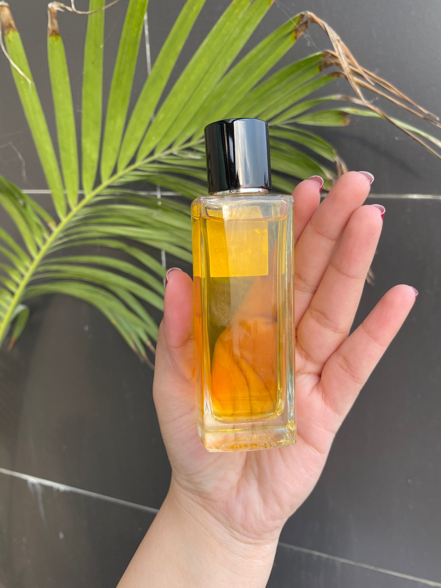 Chanel Le Lion Perfume 100ml