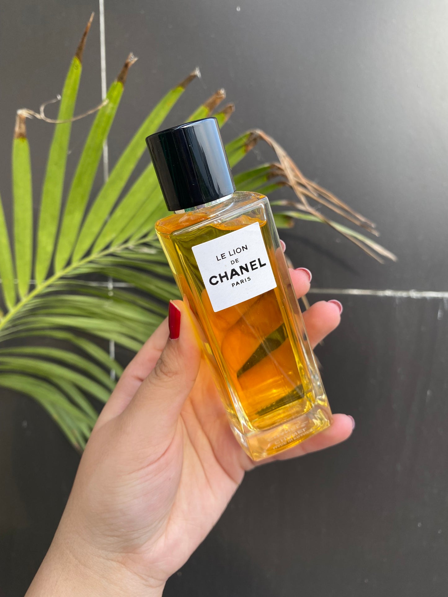 Chanel Le Lion Perfume 100ml