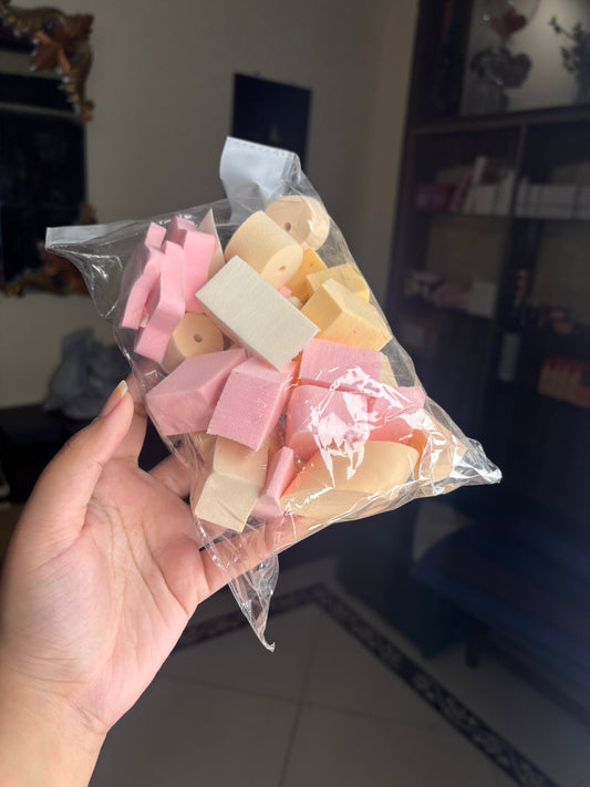 Pack of 10 Random Blenders / Puff / Sponge