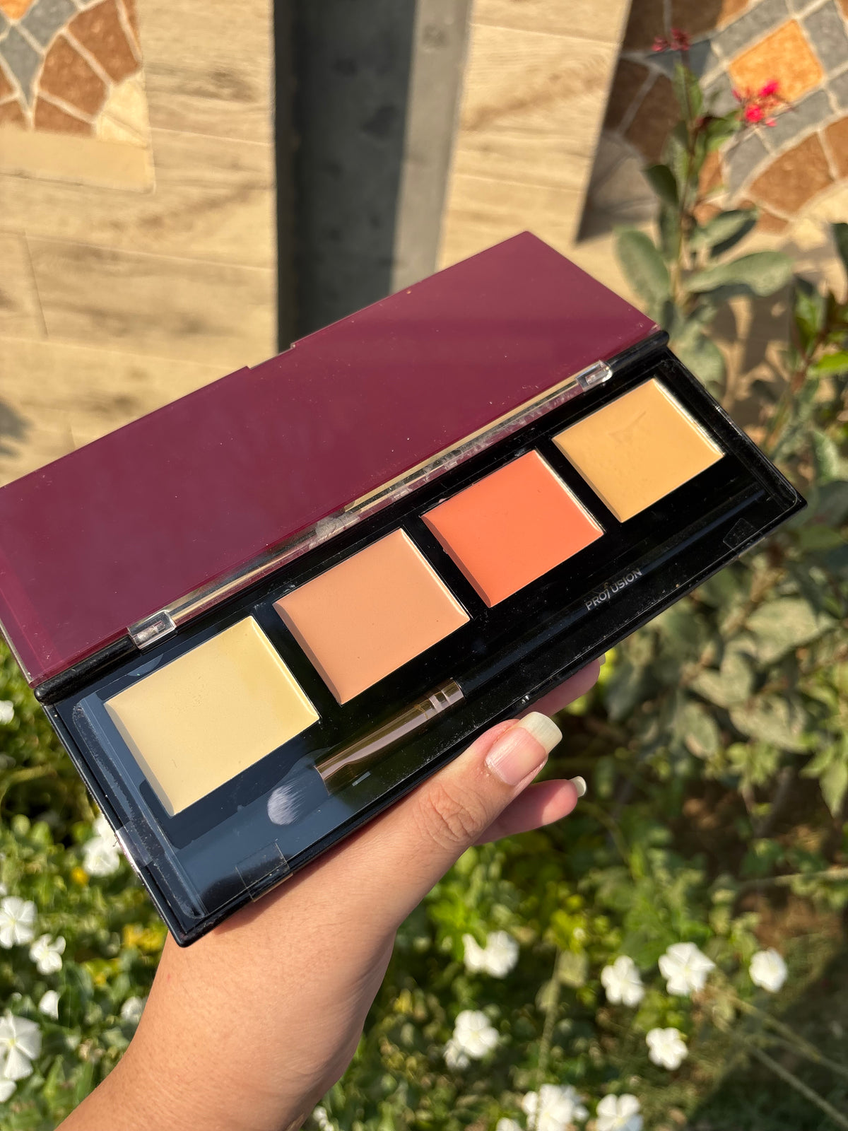 Profusion Beauty Correct+Conceal Palette