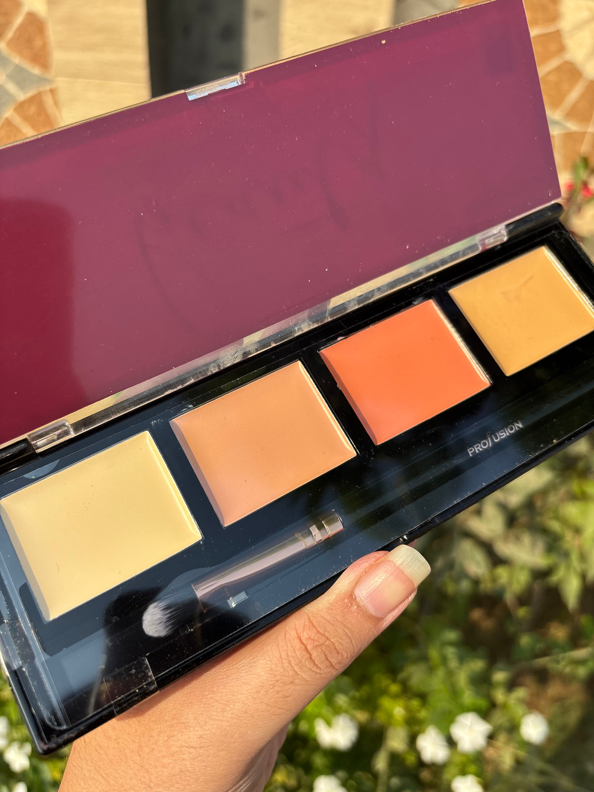 Profusion Beauty Correct+Conceal Palette