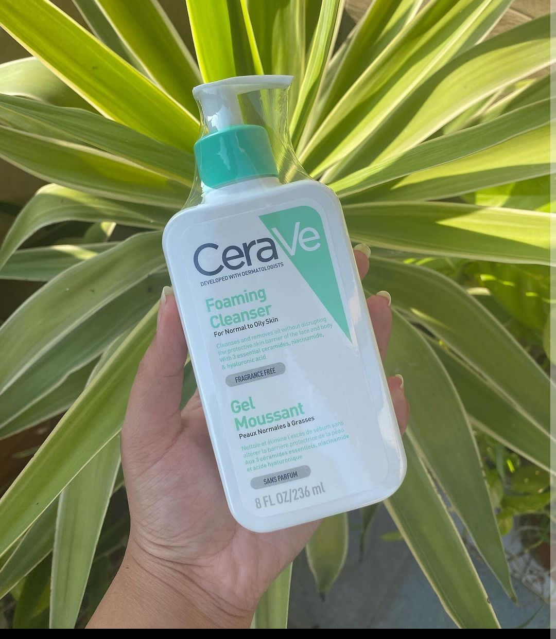Cerave foaming cleanser for normal to oily skin