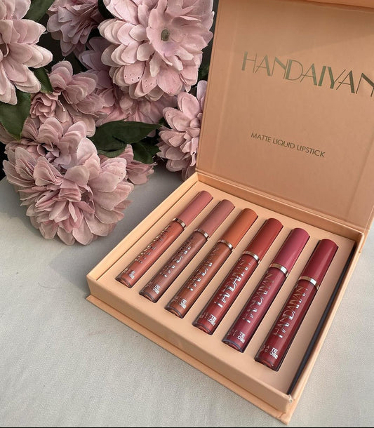 Handaiyan liquid matte lipstick set